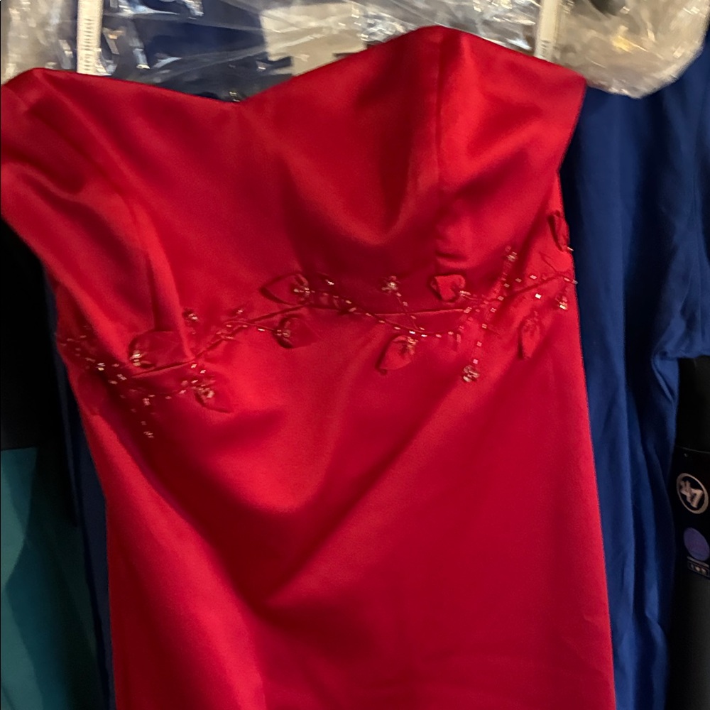 David's Bridal Vibrant Red Gown